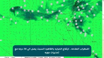 اضطراب الملاحة.. ارتفاع الحرارة بالقاهرة السبت يصل إلى 34 درجة مع تحذيرات جوية